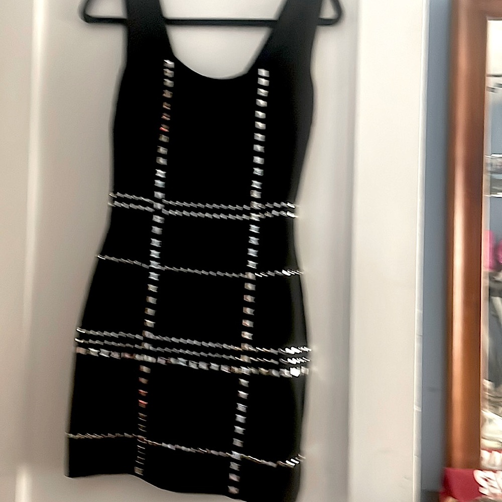 Walter baker dress xs